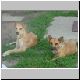 DSC00078.jpg