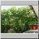 DSC00142.jpg
